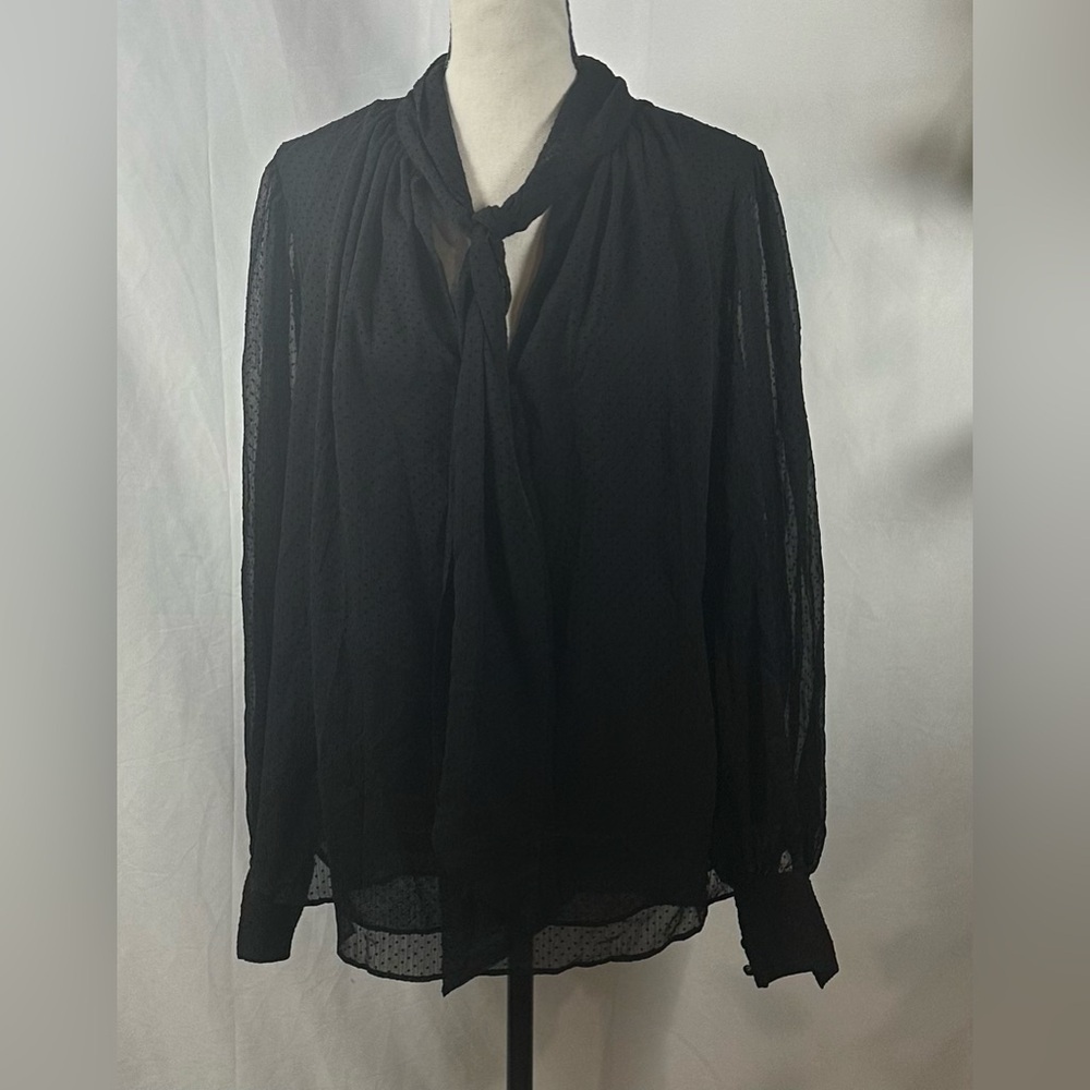 Elegant Black Sheer Blouse - Picture 2 of 9